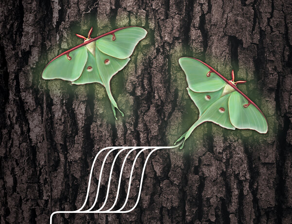 Elevate your results with Luna qPCR Products